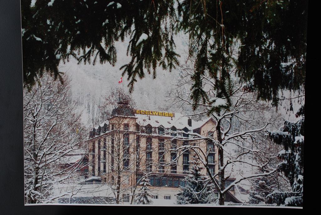 Hotel Edelweiss Енгелберг Екстериор снимка